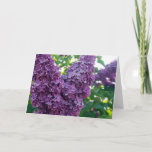 Purple Lilacs Greeting Card