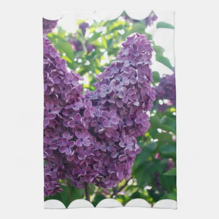 Purple Lilacs Kitchen Towel