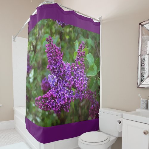 Purple Lilacs on a Spring Day Shower Curtain