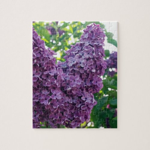 Purple Lilacs  Puzzle