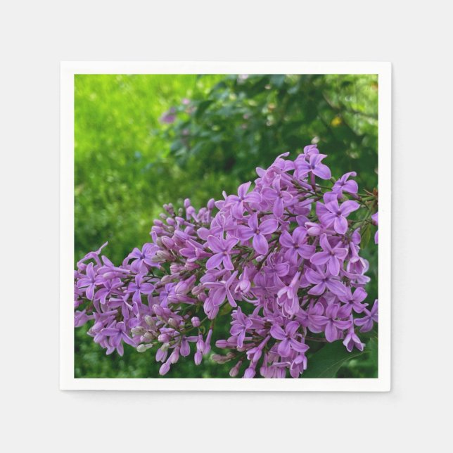 Purple lilacs romantic elegant purple floral photo napkins (Front)