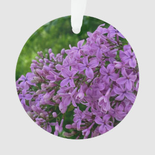 Purple lilacs romantic elegant purple floral photo ornament