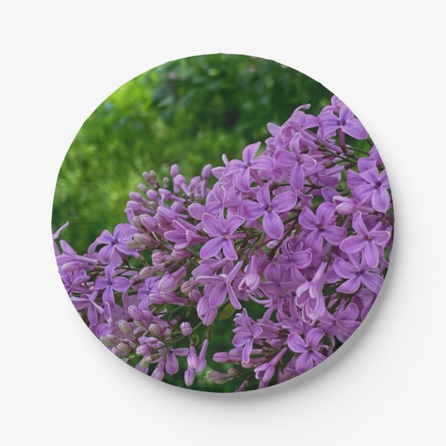 Purple lilacs romantic elegant purple floral photo paper plates (Front)