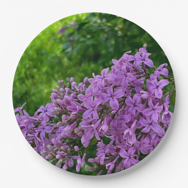 Purple lilacs romantic elegant purple floral photo paper plates (Front)