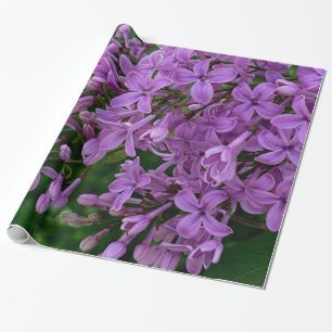 Purple lilacs romantic elegant purple floral photo wrapping paper