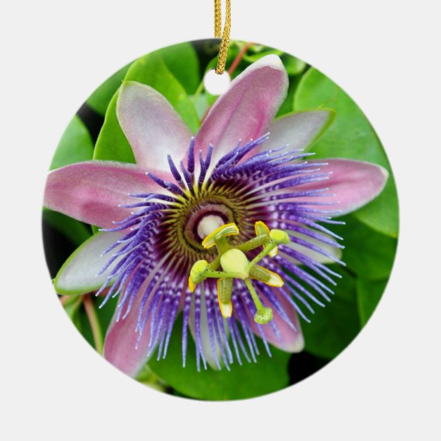 Purple Lilikoi Passion Flower, Christmas Ornament (Front)