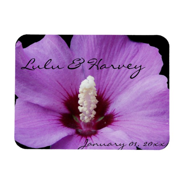 Purple Lily Up Close Magnet (Horizontal)