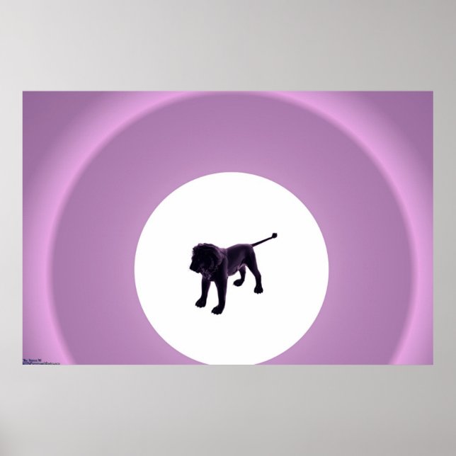 Purple Lion Poster (Front)