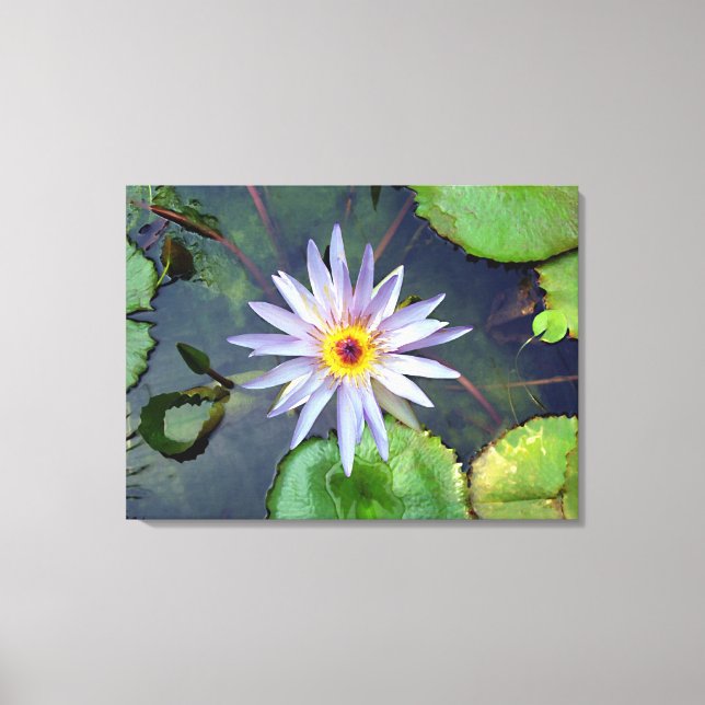 Purple Lotus Canvas Print (Front)