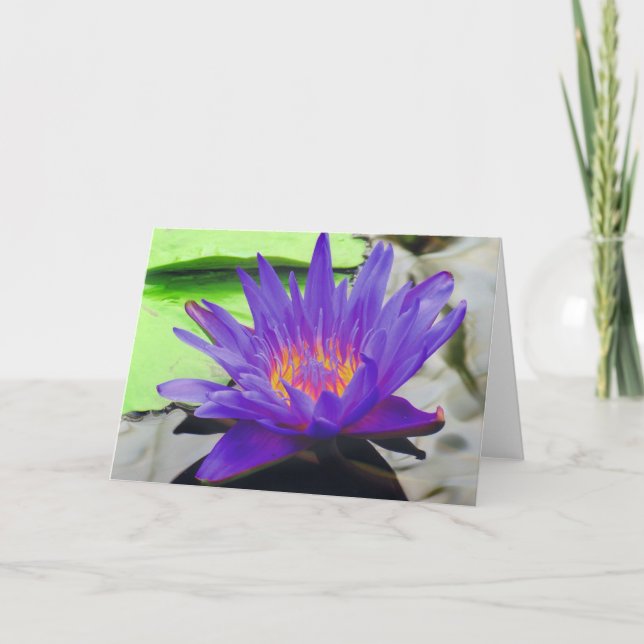 Purple Lotus Card (Front)