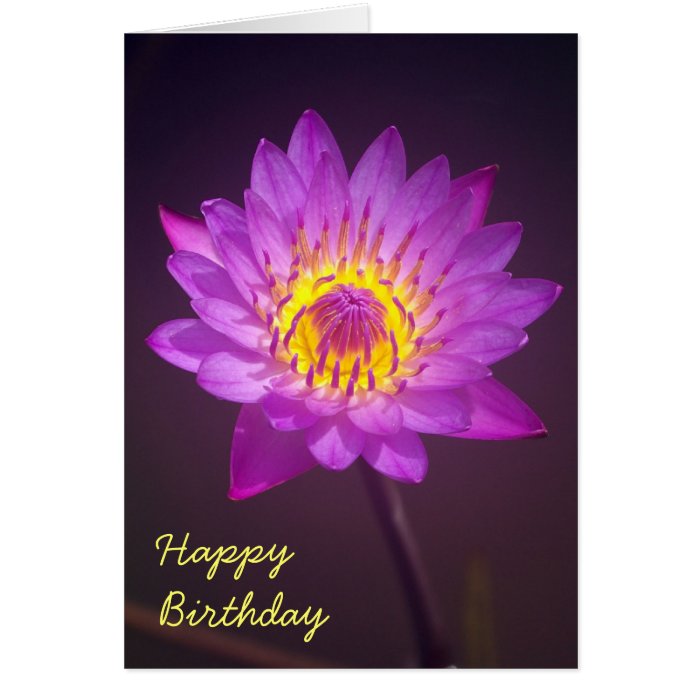 Purple Lotus Flower Birthday Card Zazzle