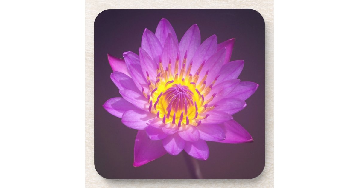 Purple Lotus Flower Drink Coaster