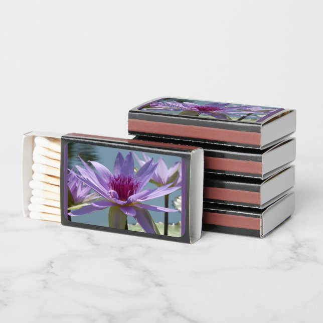 Purple Lotus Flowers Close Up Match Box (Stacked)