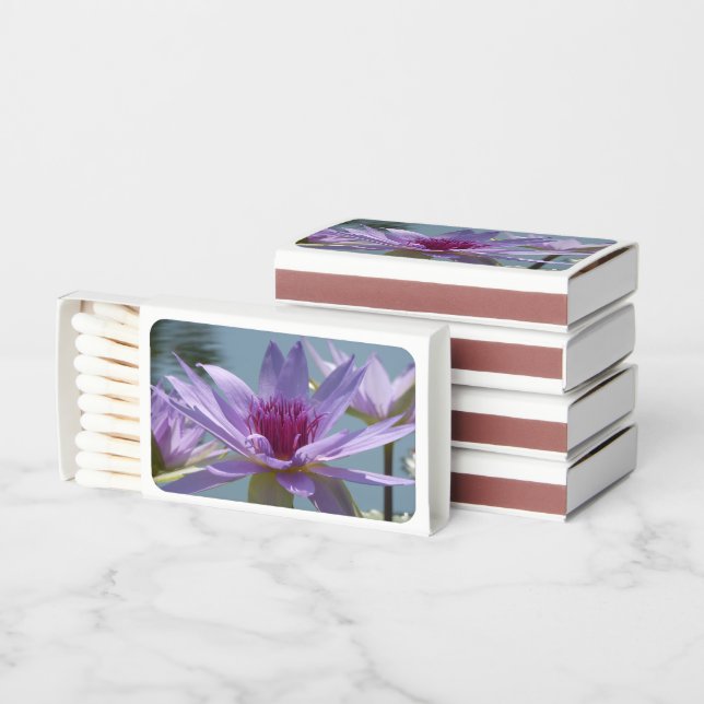 Purple Lotus Flowers Close Up Match Boxes (Stacked)