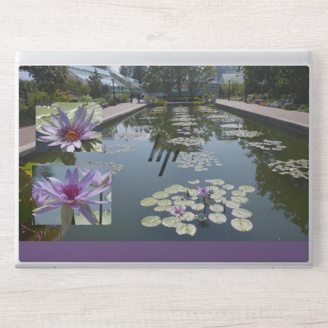 Purple Lotus Flowers in Pond Laptop Skin (Front)