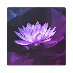Purple Lotus Metal Wall Art