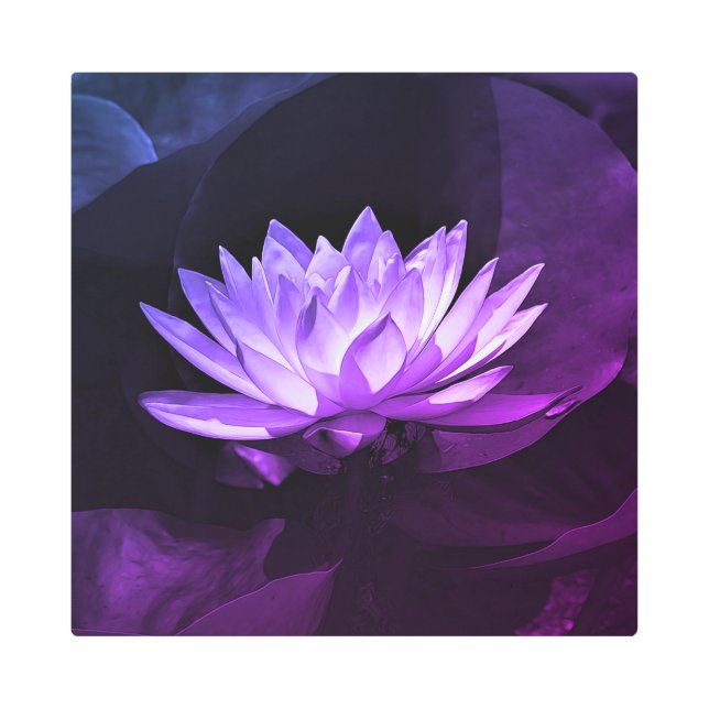 Purple Lotus Metal Wall Art (Front)