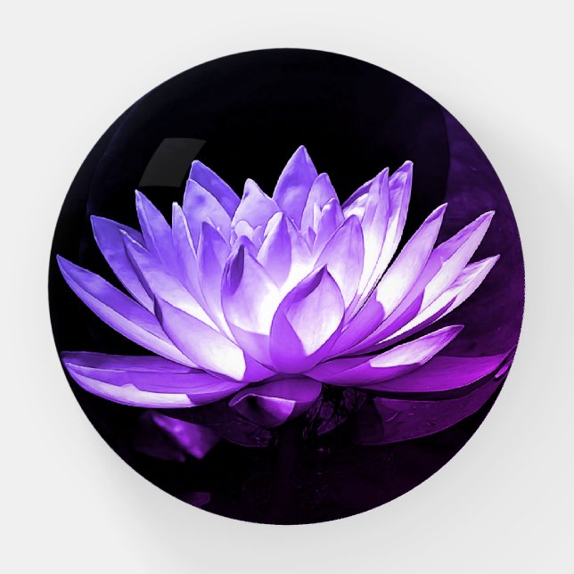 Purple Lotus Paperweight (Front)