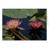 Purple Lotus Waterlilies Card (Front Horizontal)