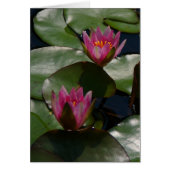 Purple Lotus Waterlilies Card (Front)