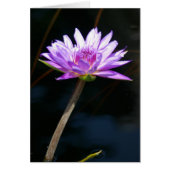 Purple Lotus Waterlily Card (Front)
