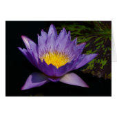 Purple Lotus Waterlily Card (Front Horizontal)