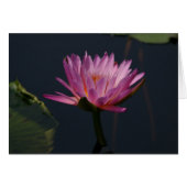 Purple Lotus Waterlily Card (Front Horizontal)