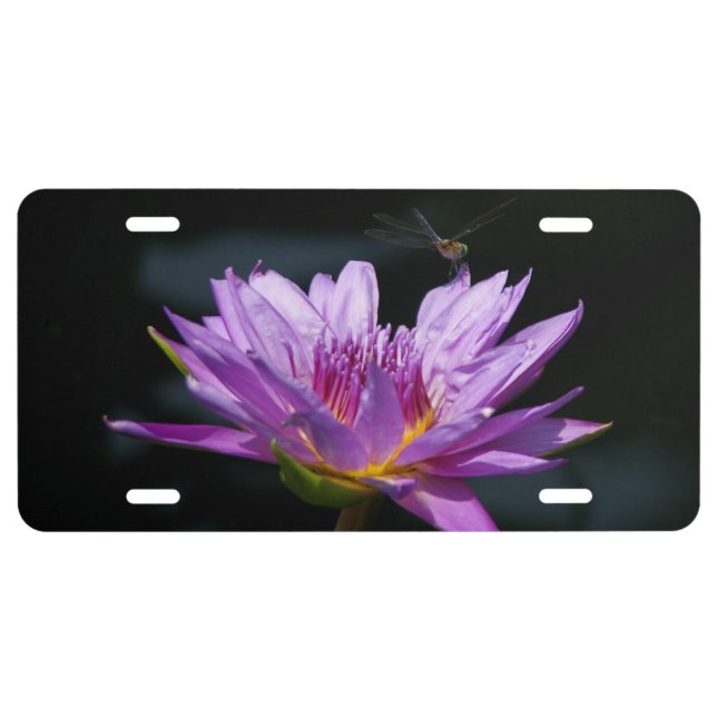Purple Lotus Waterlily Dragonfly License Plate (Front)