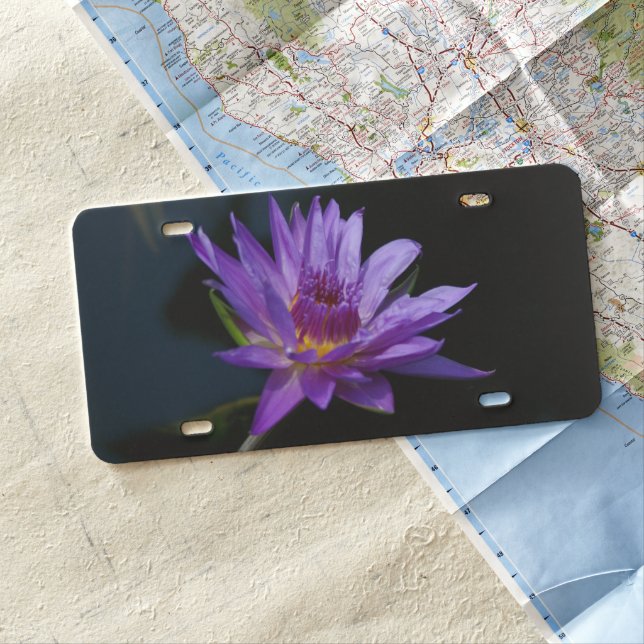 Purple Lotus Waterlily License Plate (In Situ)