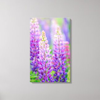 Purple Lupin Wrapped Canvas Print