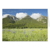 Purple Lupine and Mountains (Front Horizontal)