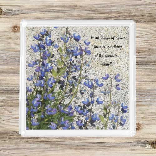 Purple Lupine Aristotle Philosophical Quote Acrylic Tray