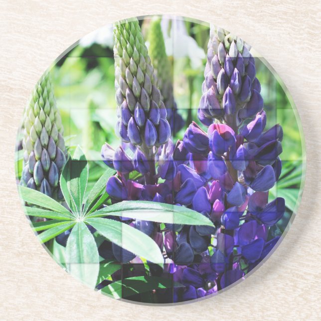 Purple Lupine Floral Coaster (Front)