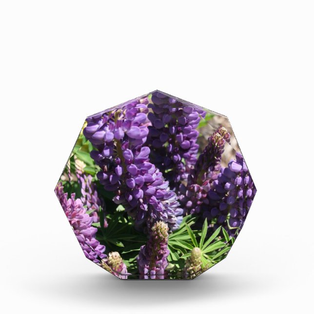 Purple Lupine Flower Acrylic Award (Front)
