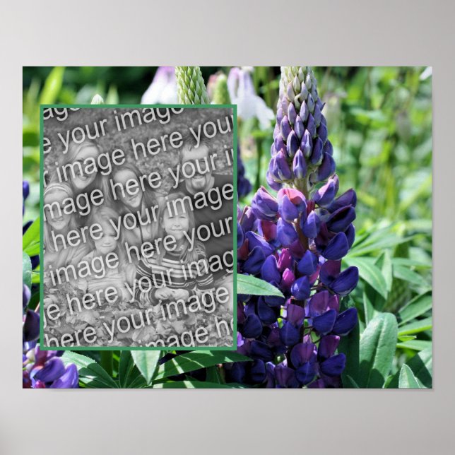 Purple Lupine Flower Frame Add Your Photo Poster (Front)