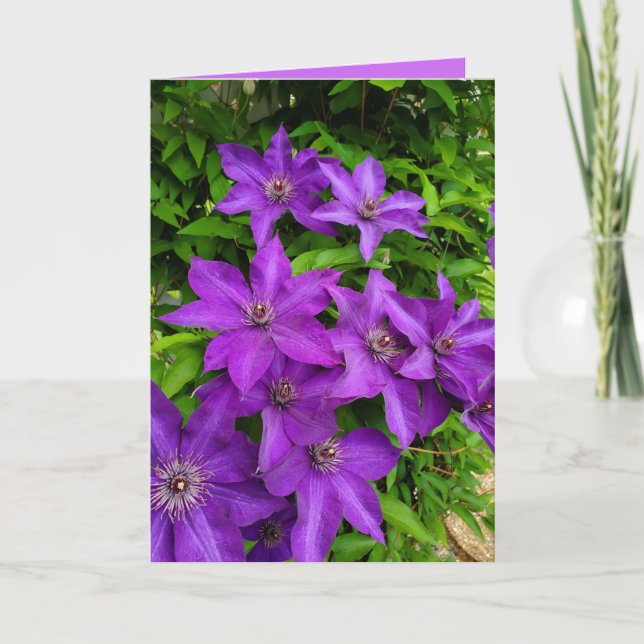 Purple Lupines Floral Keeping in Touch Blank Card (Front)