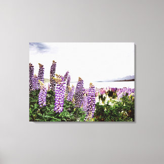 Purple Lupins Flowers : New Zealand Canvas Print