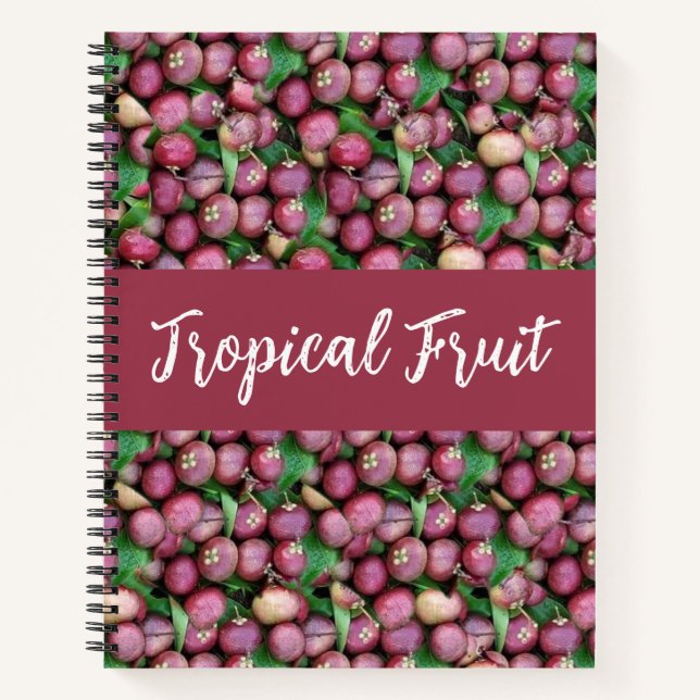 Purple Mangosteen Tropical Fruit  Notebook (Front)
