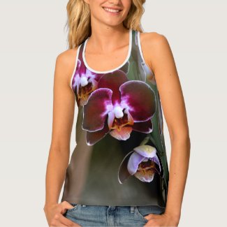 Purple Maroon and White Orchid Blossoms