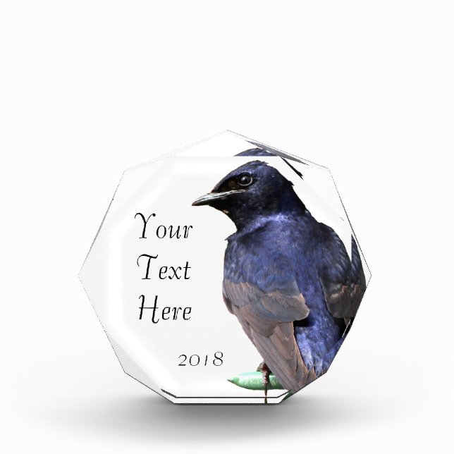 Purple Martin Acrylic Award (Front)