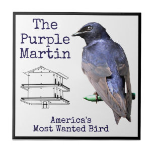 Purple Martin Ceramic Tile