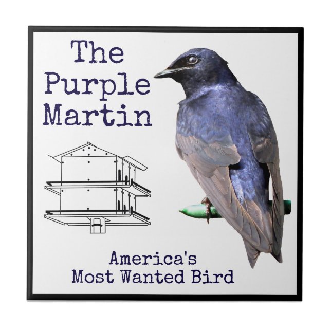 Purple Martin Ceramic Tile (Front)