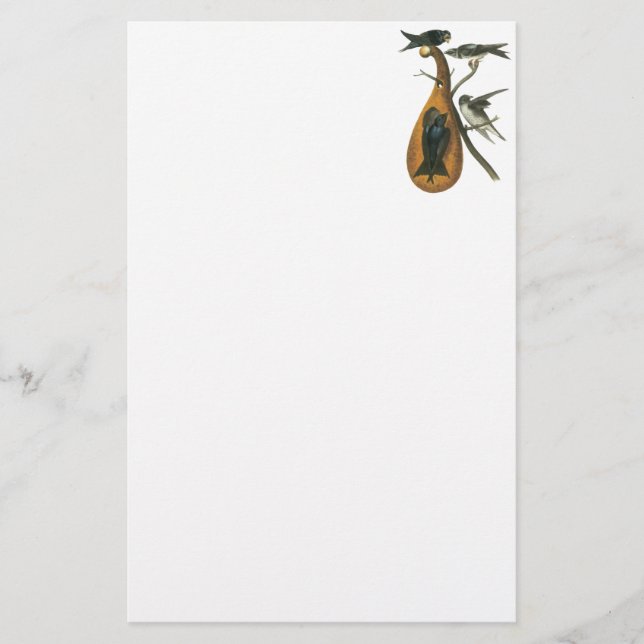 Purple Martin, John Audobon Stationery (Front)