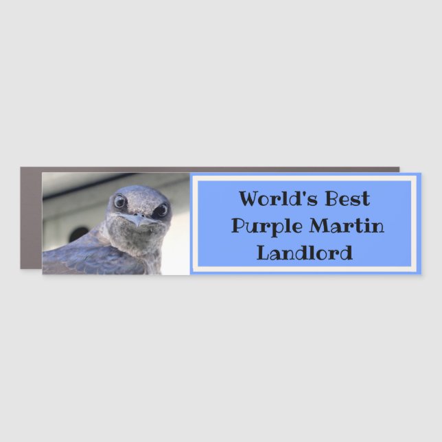 Purple Martin Landlord Car Magnet (Front)