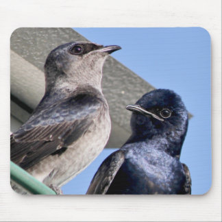 Purple Martin Pair Mouse Pad