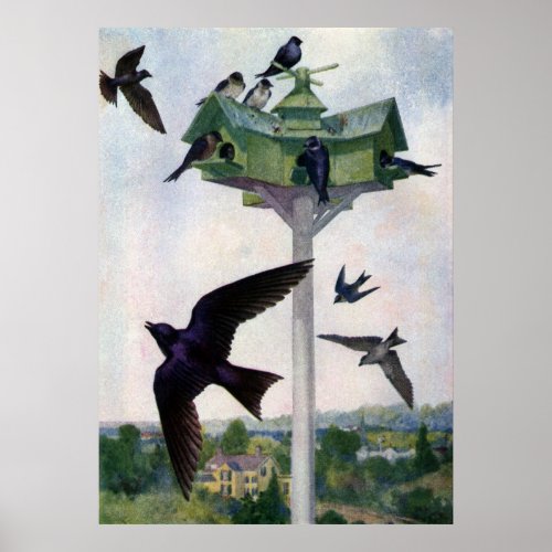 Purple Martins and Their Birdhouse Poster