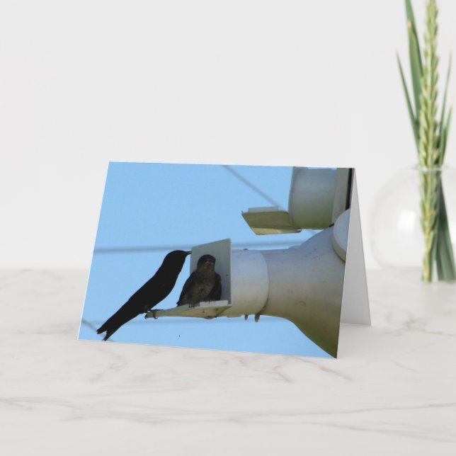 Purple Martins Card (Front)