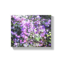 Purple / Mauve Flower Photo Canvas