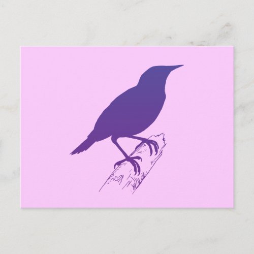 Purple Meadow Lark Postcard