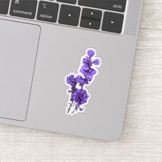 Purple Mealycup Sage Flower Sticker